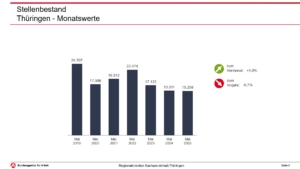 Balkendiagramm der gemeldeten Stellen in Thüringen